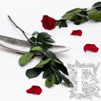 291 Endura_03-11-20-203