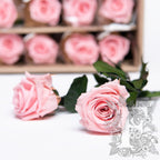 27.5CM Rose with stem - 25 Stem Bulk