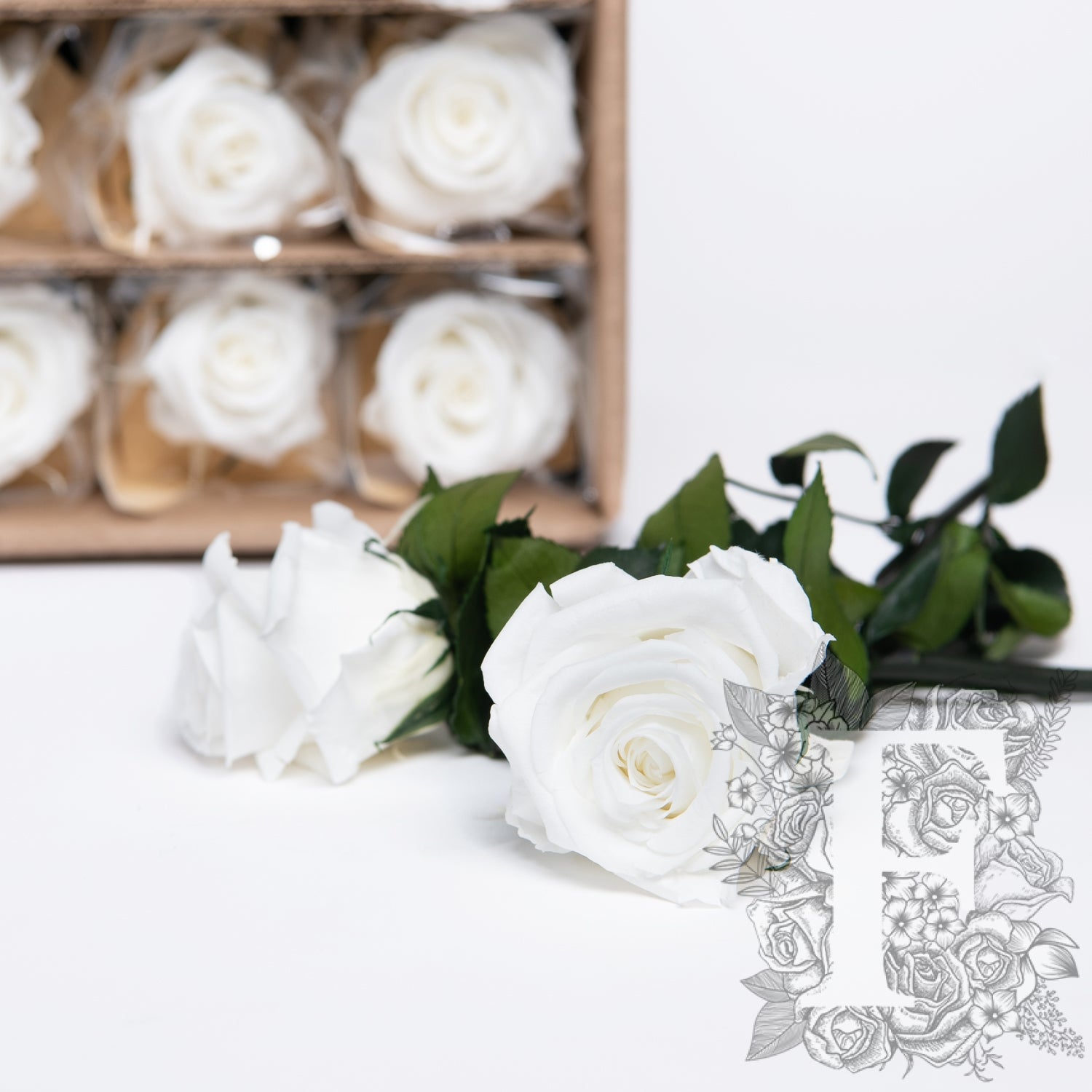 27.5CM Rose with stem - 25 Stem Bulk
