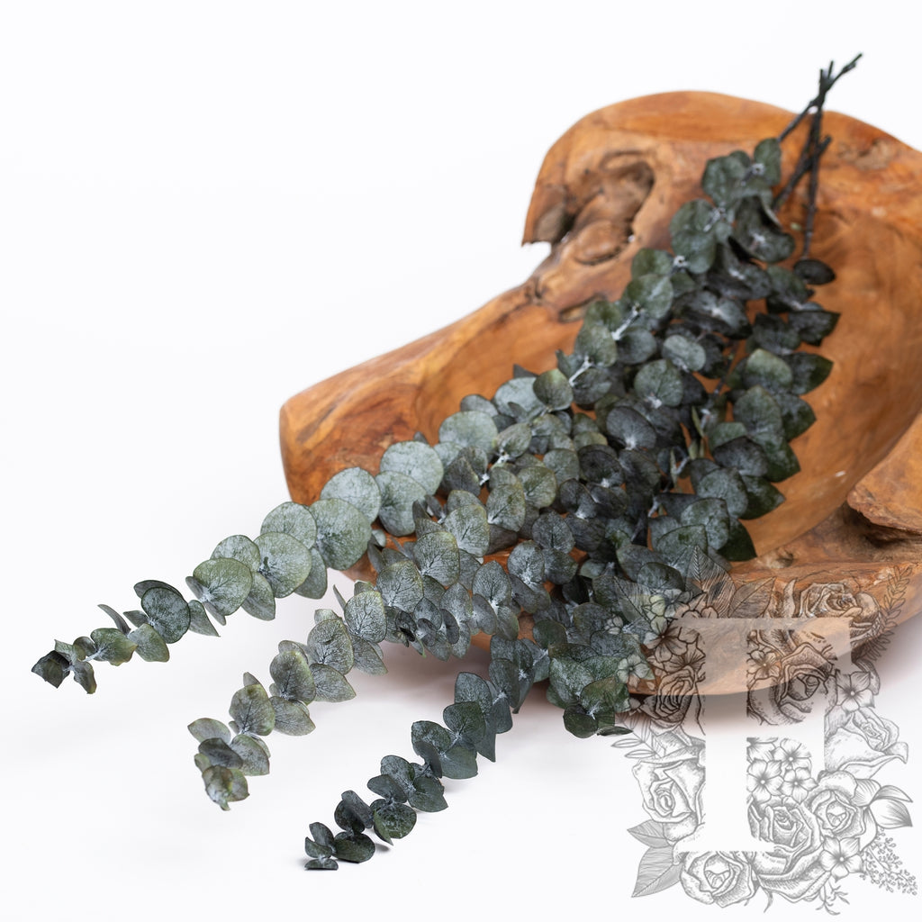 Limited Edition Baby blue - 5 Stems