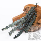 Limited Edition Baby blue - 5 Stems