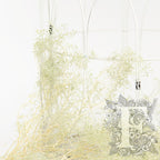 Babys breath Gypsophila - Bunch