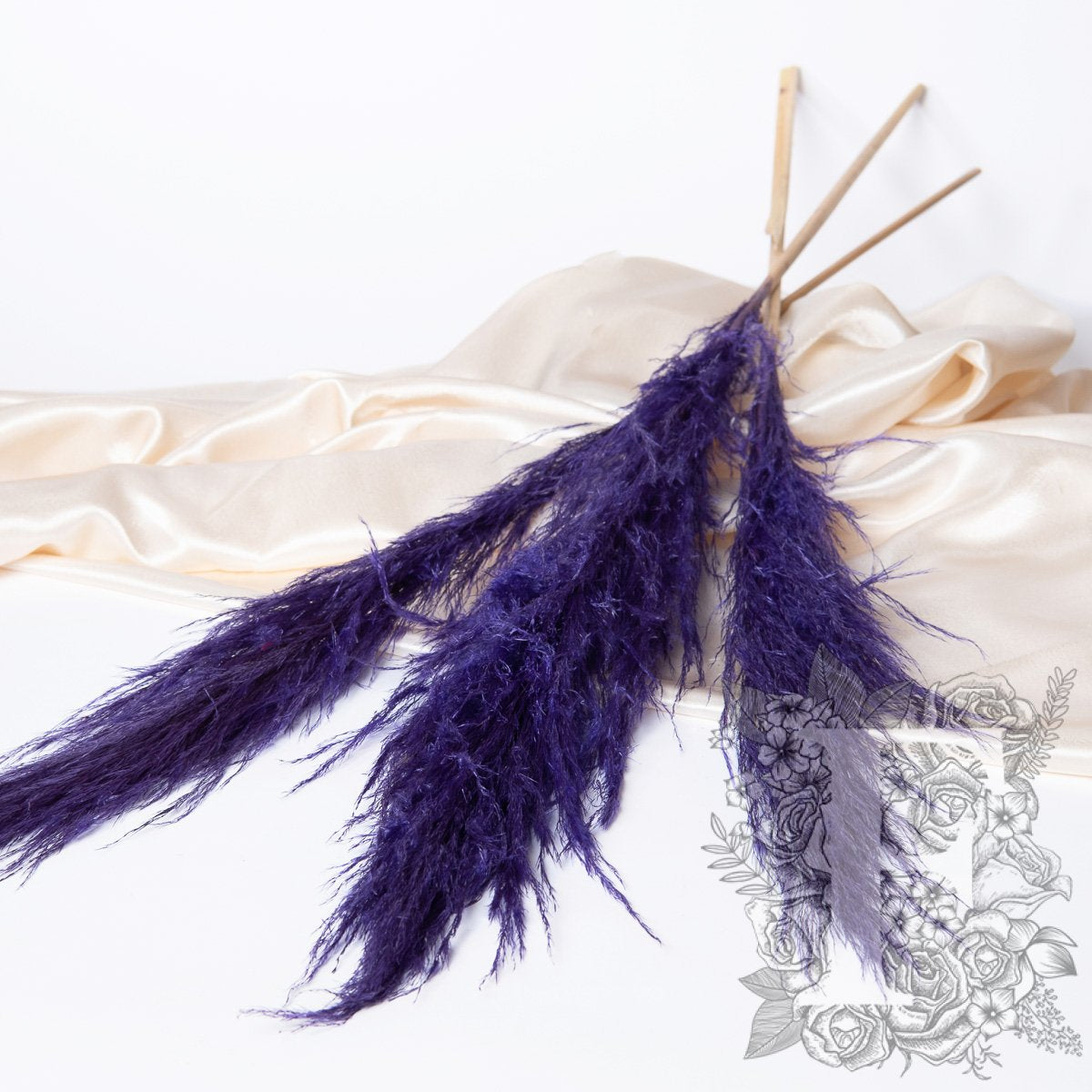 pampas cort 120cm pur 1