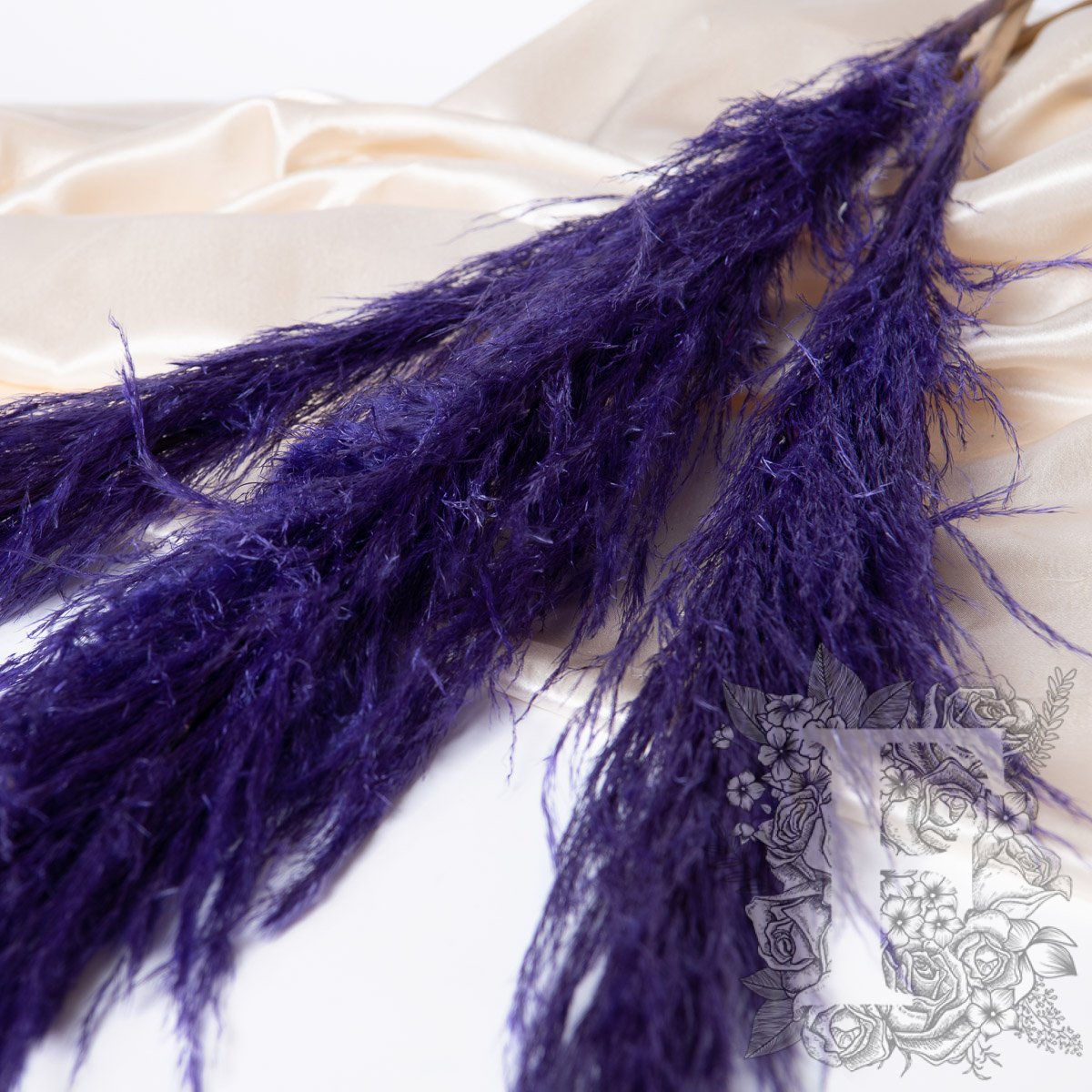 pampas cort 120cm pur 3