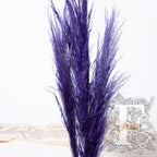 pampas cort 120cm pur 4