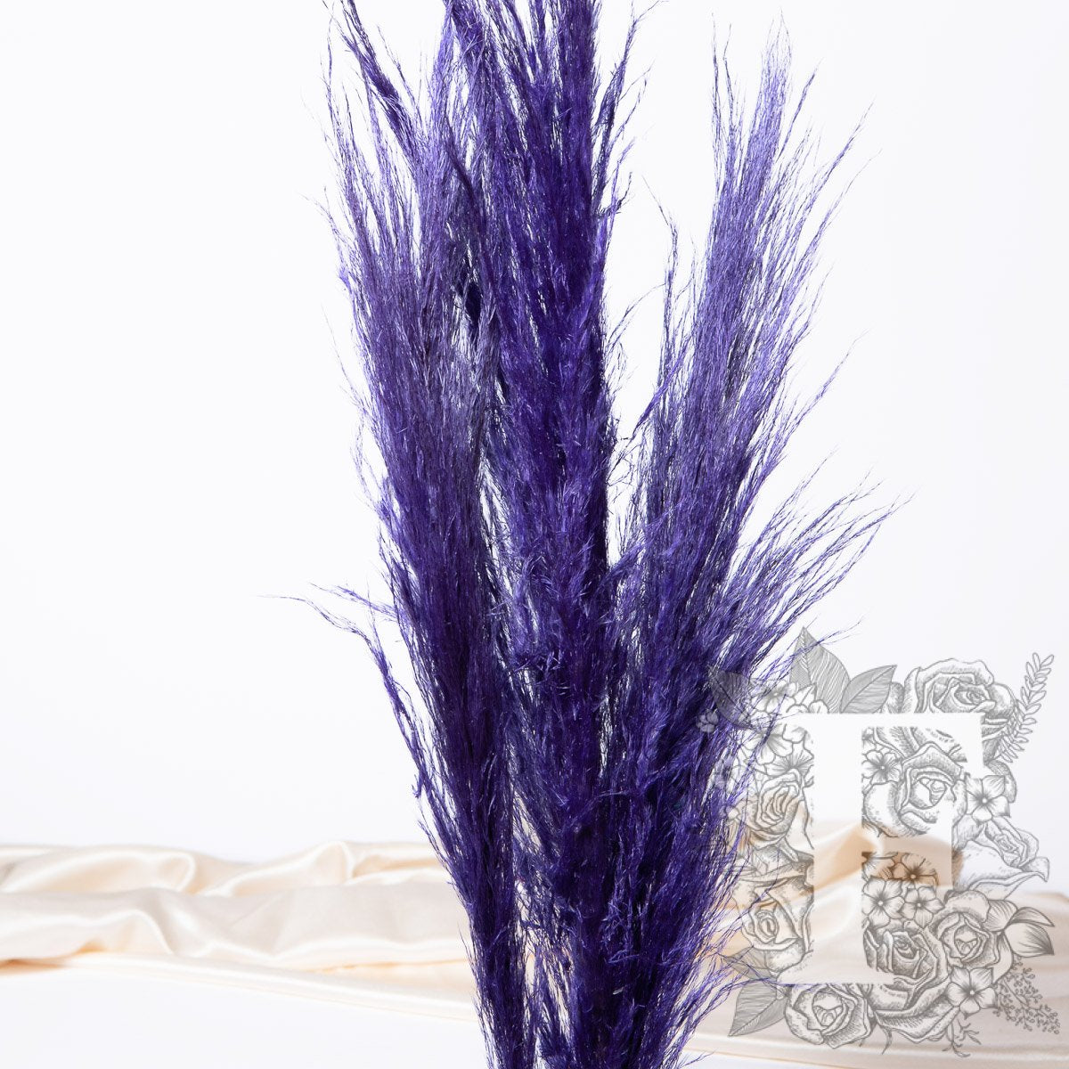 pampas cort 120cm pur 4