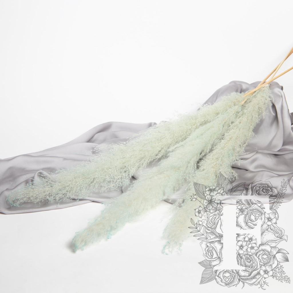 Pampas - Limited Edition - Plume - 3 Stems 120cm