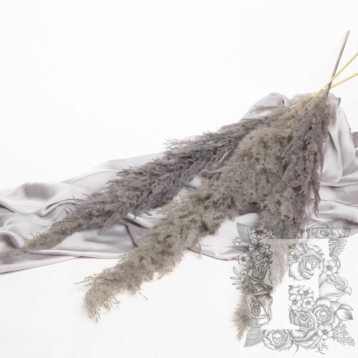 Pampas - Limited Edition - Plume - 3 Stems 120cm