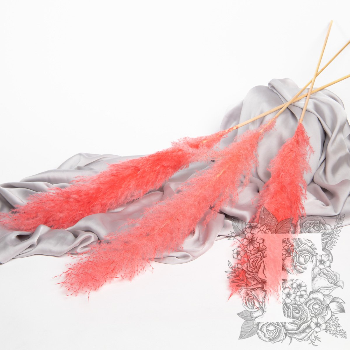 Pampas - Limited Edition - Plume - 3 Stems 120cm