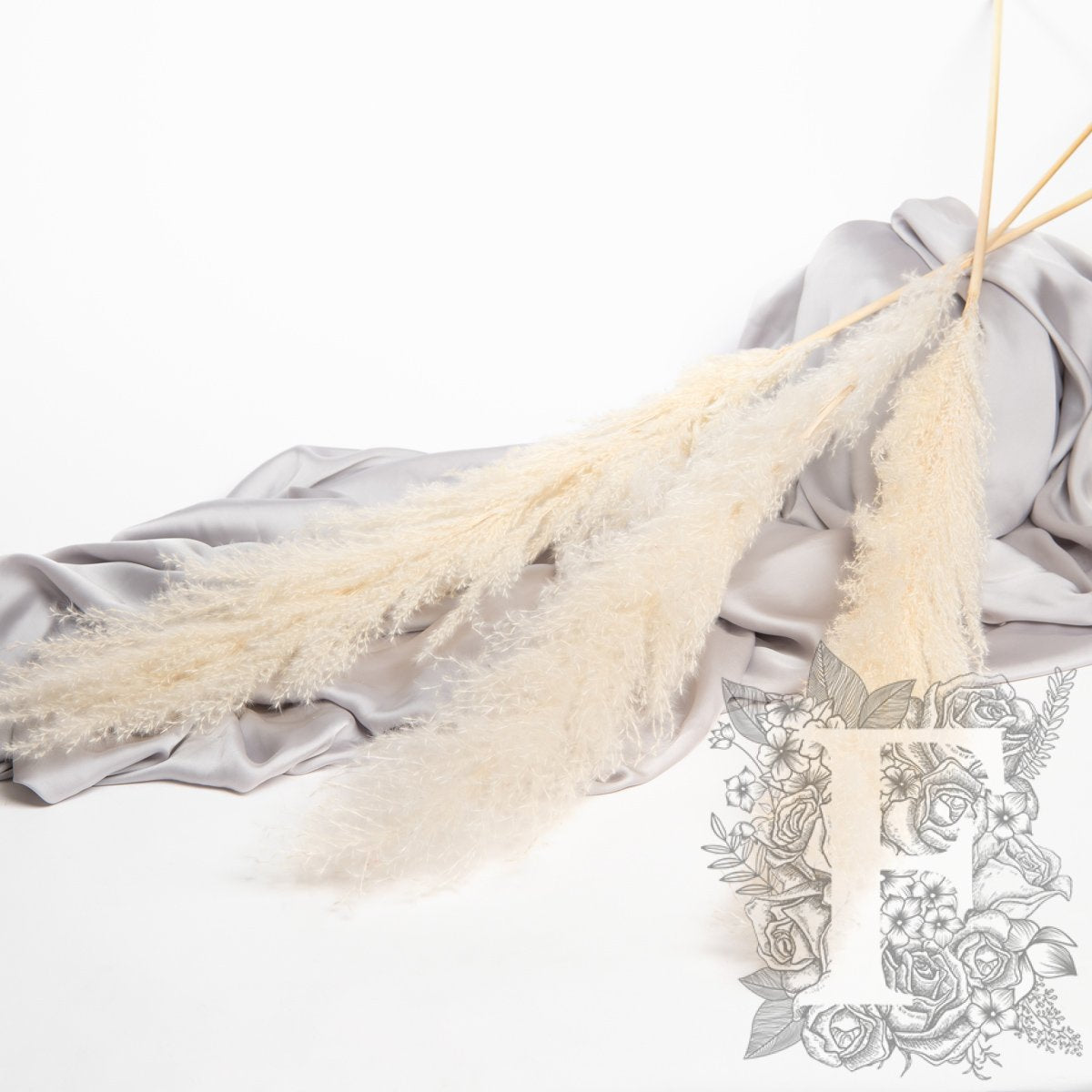 Pampas - Limited Edition - Plume - 3 Stems 120cm