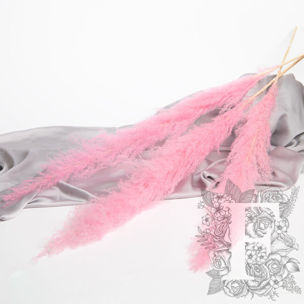 Pampas - Limited Edition - Plume - 3 Stems 120cm