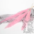 Pampas - Limited Edition - Plume - 3 Stems 120cm