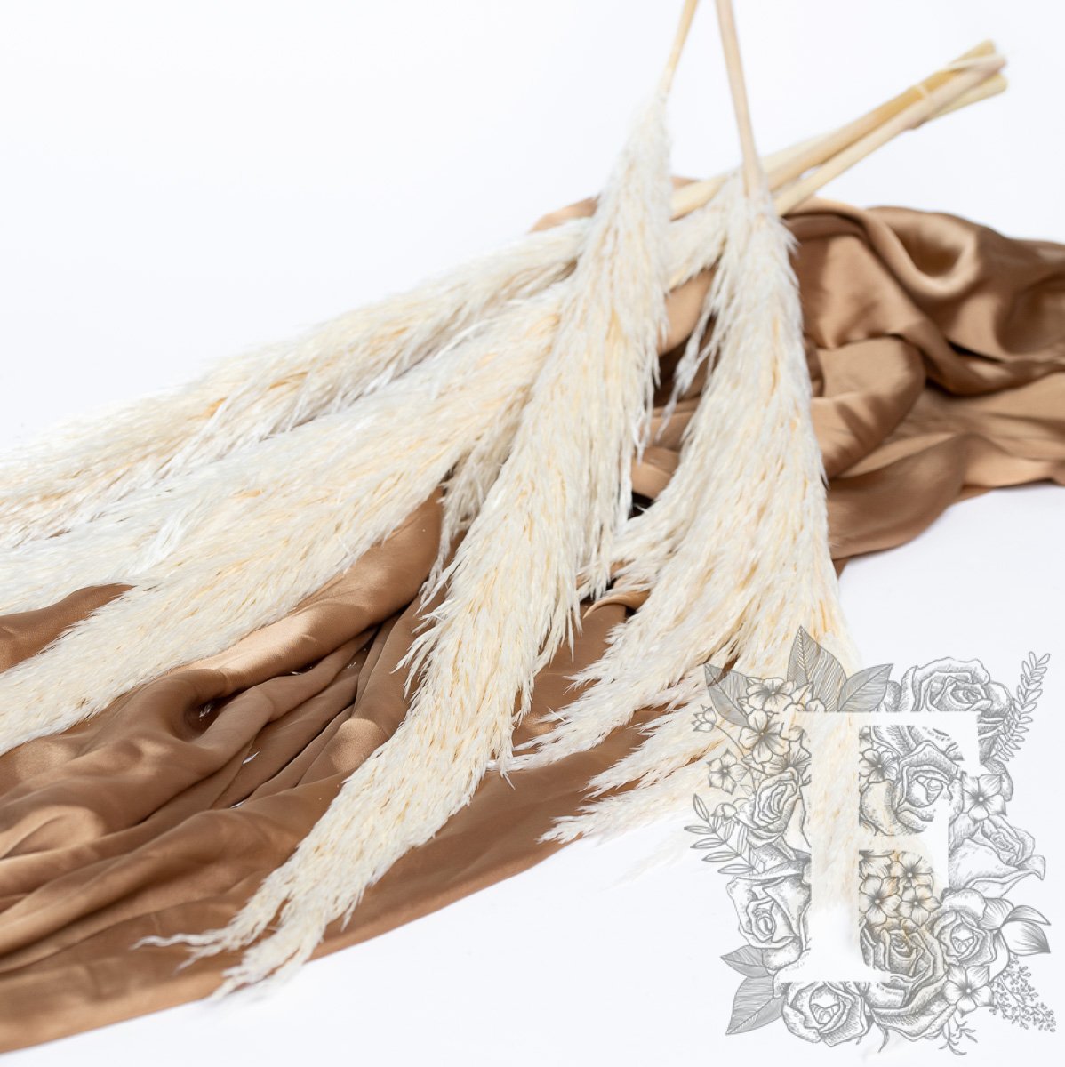 Pampas - Premium - 1 Stem - 80-100CM