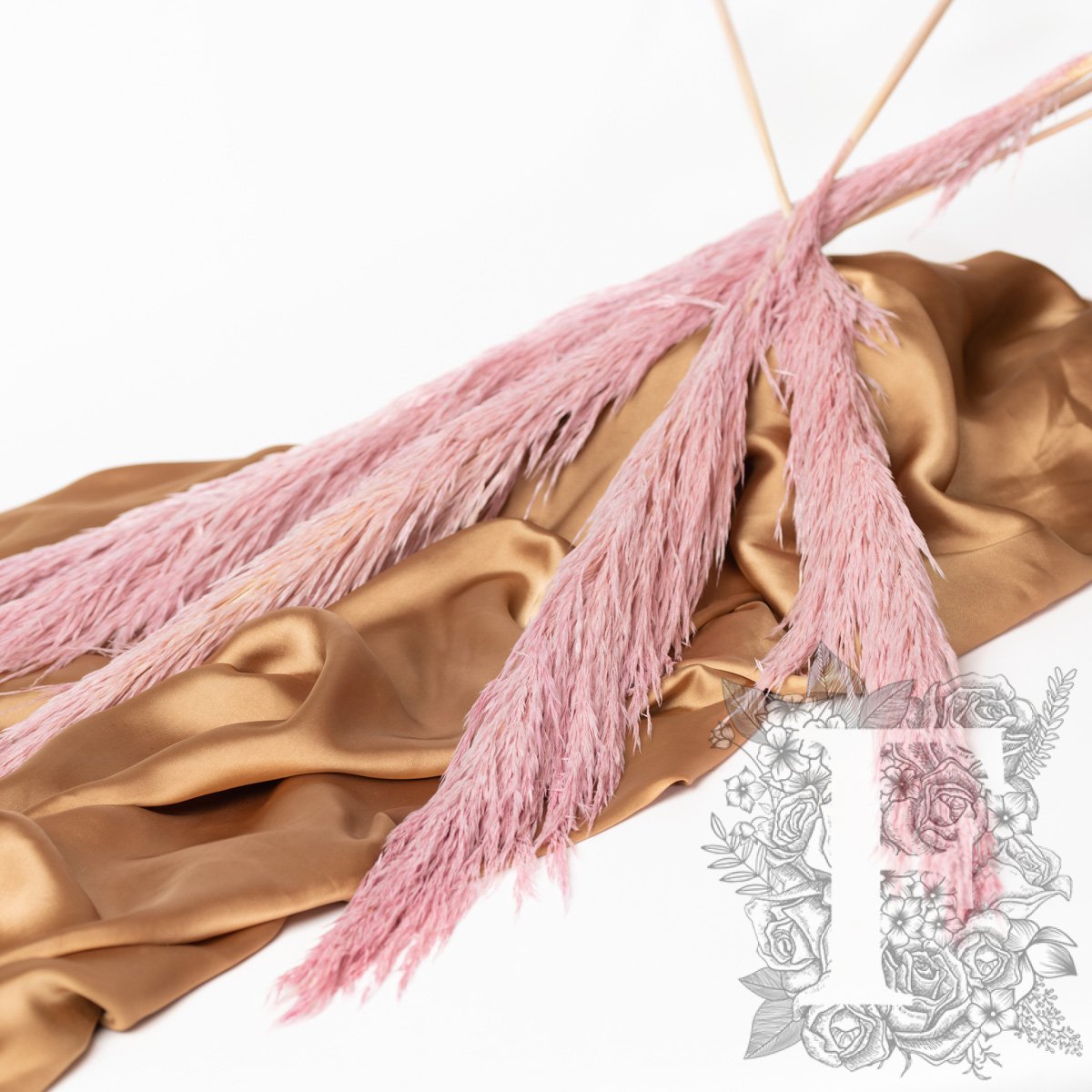 Pampas - Premium - 1 Stem - 80-100CM