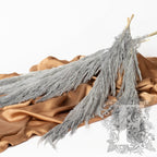 Pampas - Premium - 1 Stem - 80-100CM