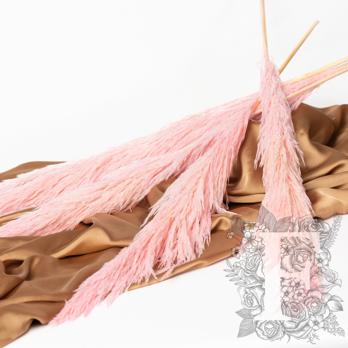 Premium Pampas Pink 1