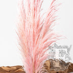 Premium Pampas Pink 4