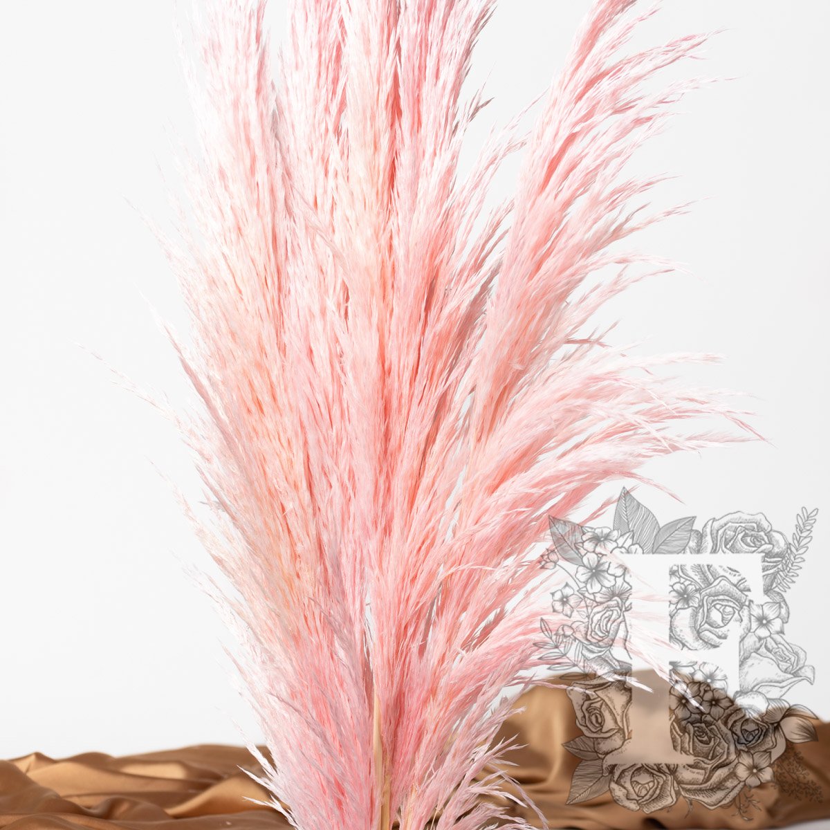 Premium Pampas Pink 4