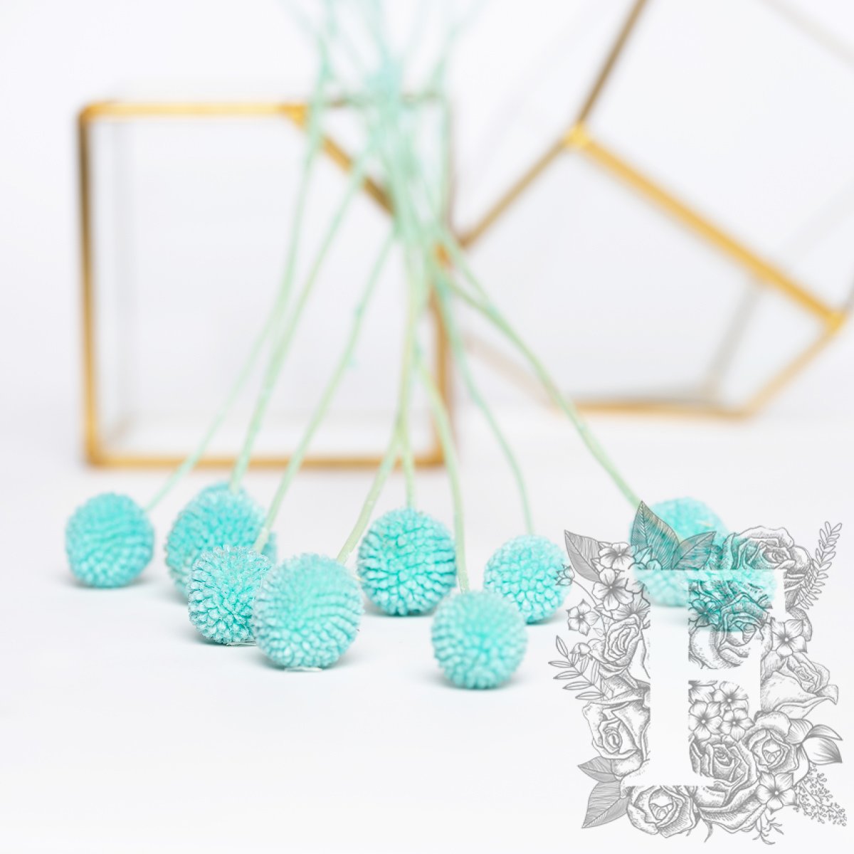 Craspedia Billy Button - 10 Stems
