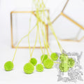 Craspedia Billy Button - 10 Stems