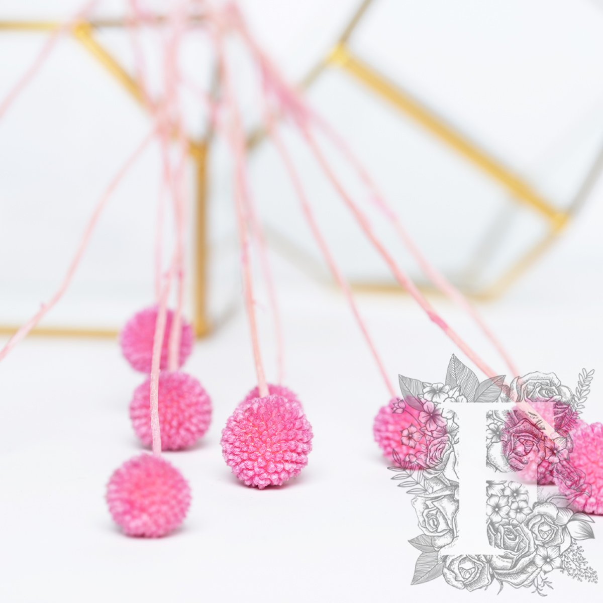 Craspedia Billy Button - 10 Stems