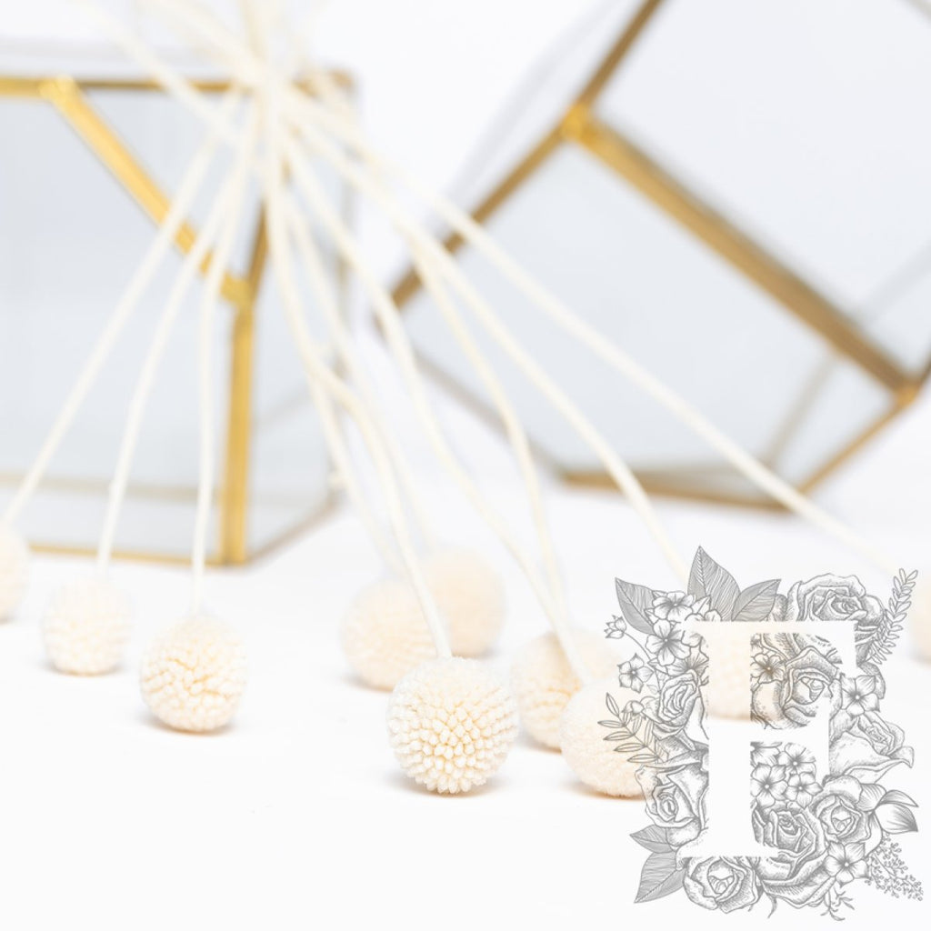 Craspedia Billy Button - 10 Stems