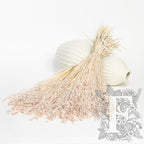 Avena - Bunch