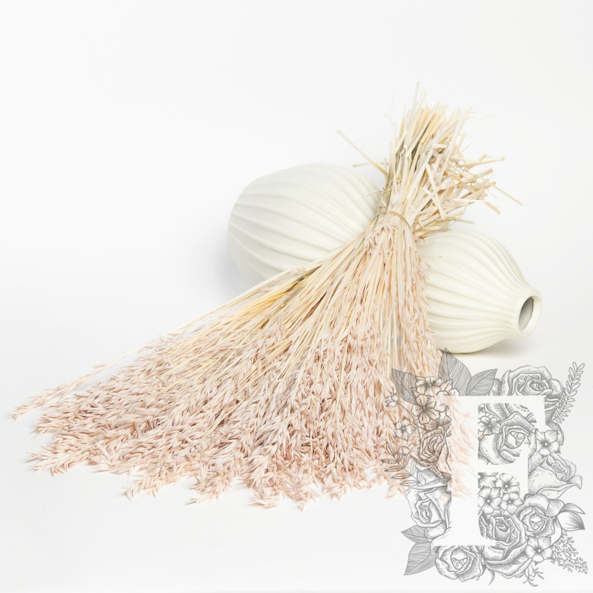 Avena - Bunch