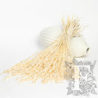 Avena - Bunch
