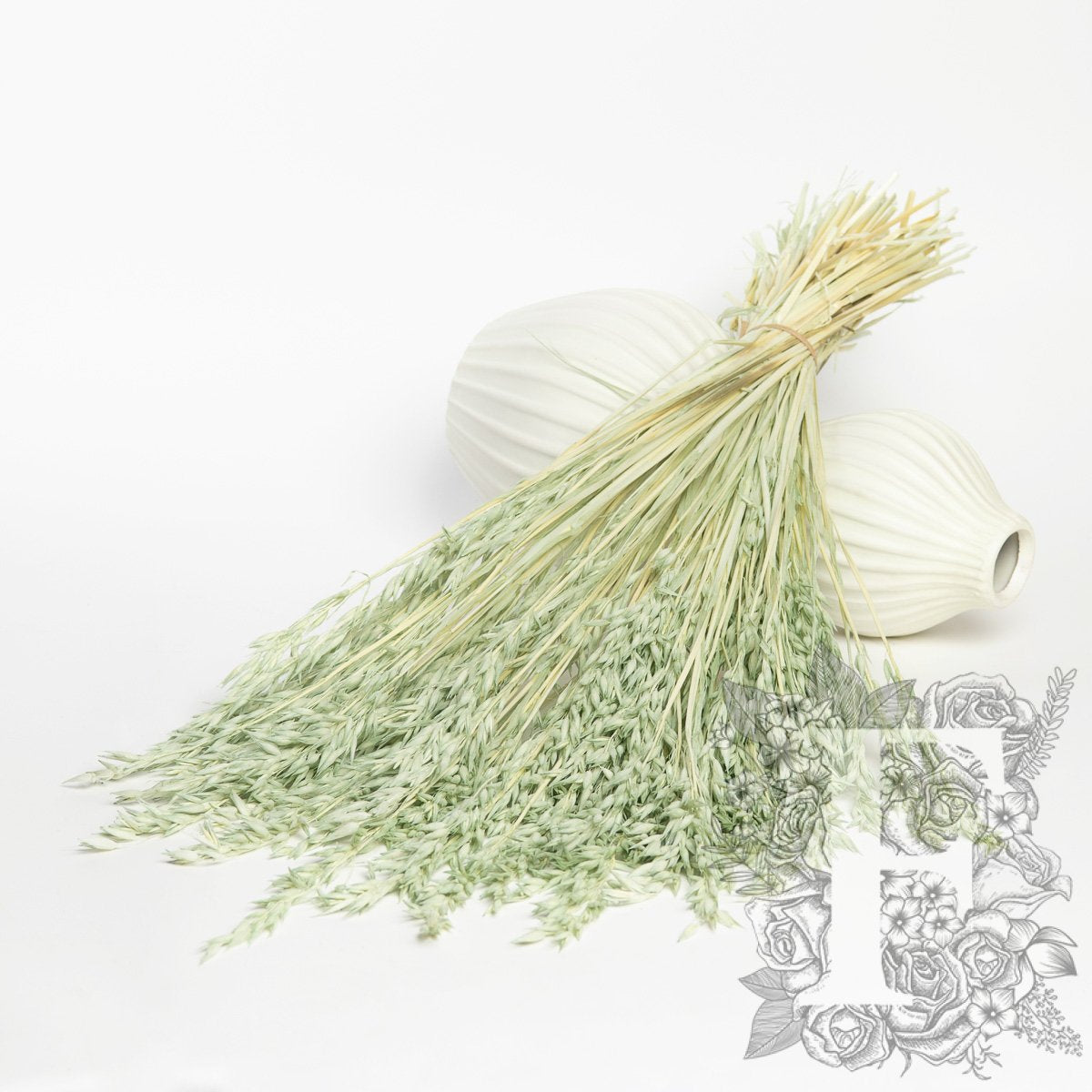 Avena Mint 1