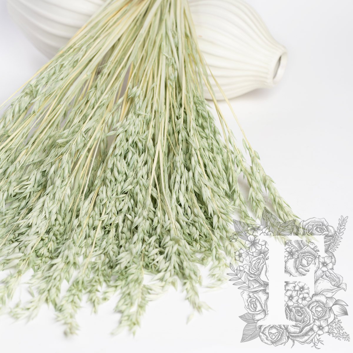 Avena Mint 2