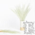 Agrostis - Bunch