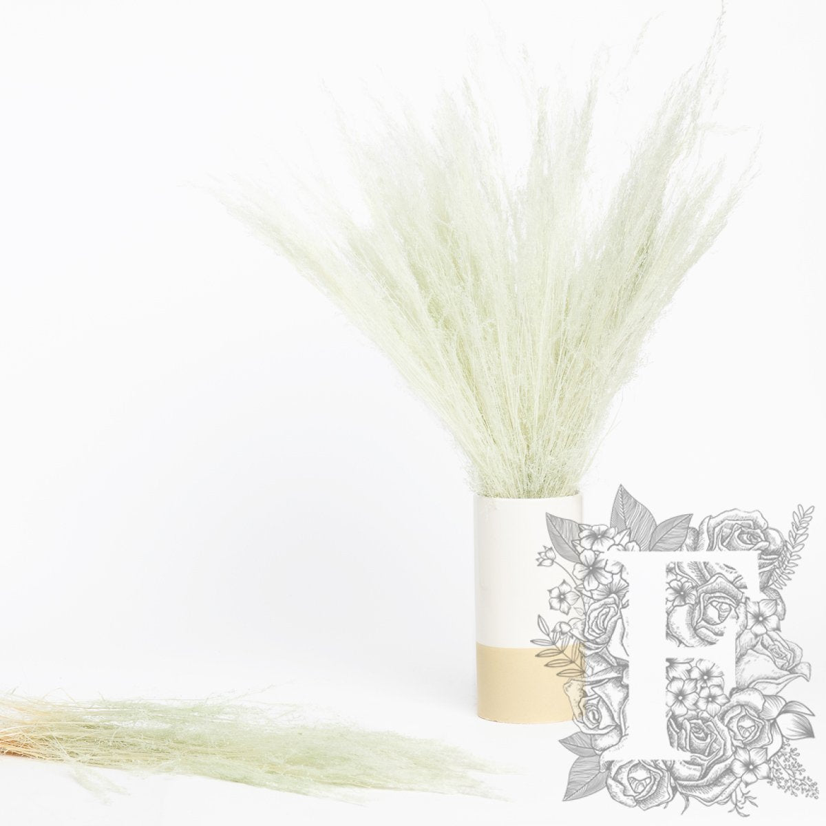 Agrostis - Bunch