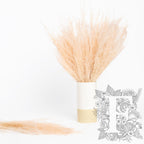 Agrostis - Bunch