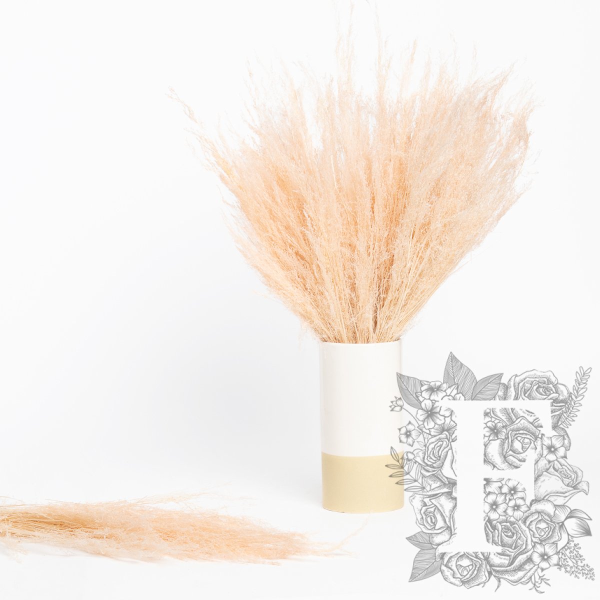Agrostis - Bunch