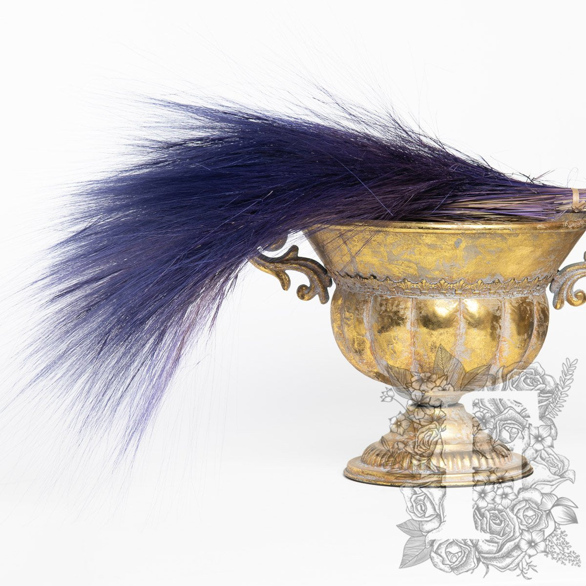 Barba Purple 1
