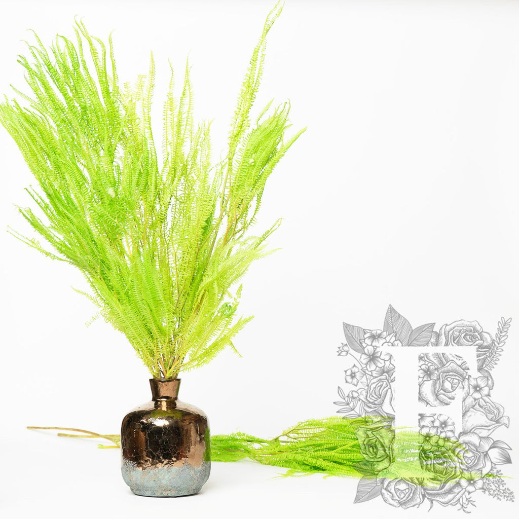 Helecho Lime Green 1
