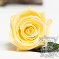026 Endura_03-03-21-040