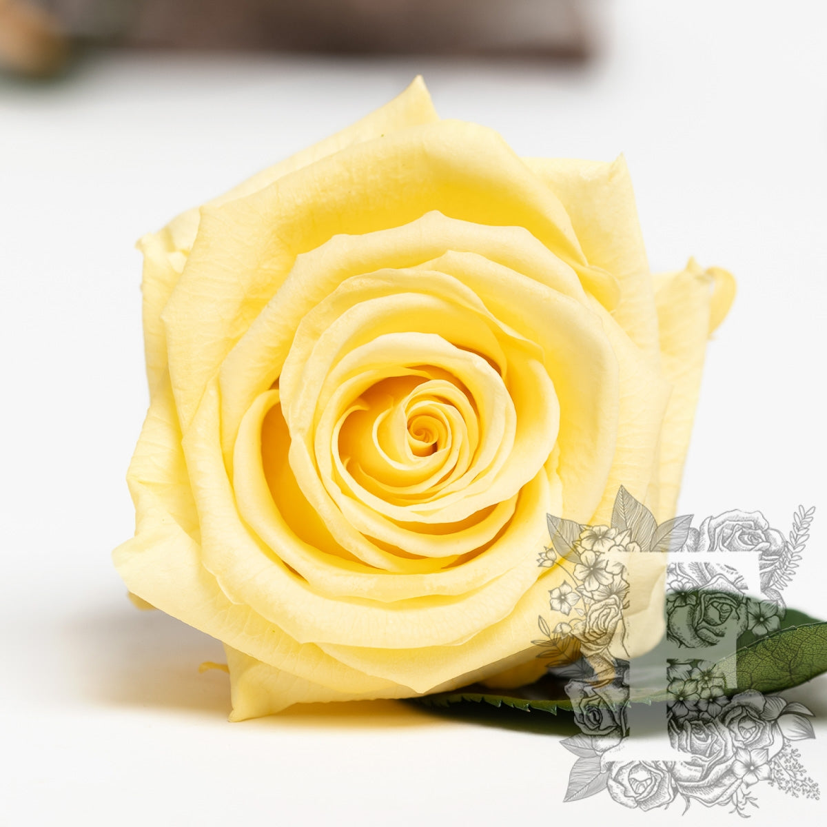 026 Endura_03-03-21-040