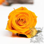 029 Endura_03-03-21-044