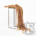 bi-colour amaranthus caudatus - 150g