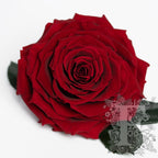 052 Endura_10-03-21-114