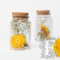 Dried flower - glass vial with cork - Small