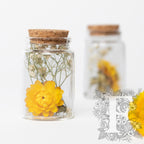 Dried flower - glass vial with cork - Small