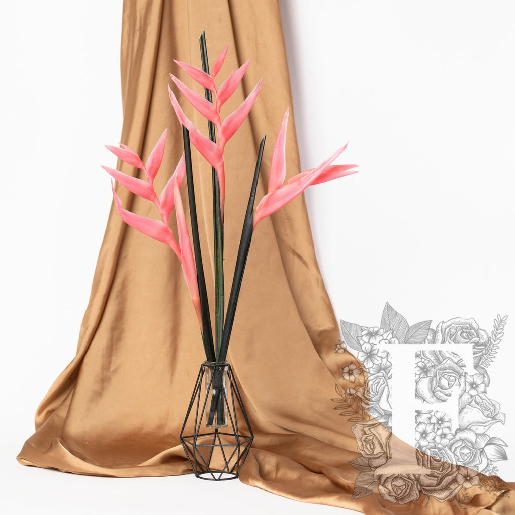 Stralitzia- Bird of Paradise -Stem