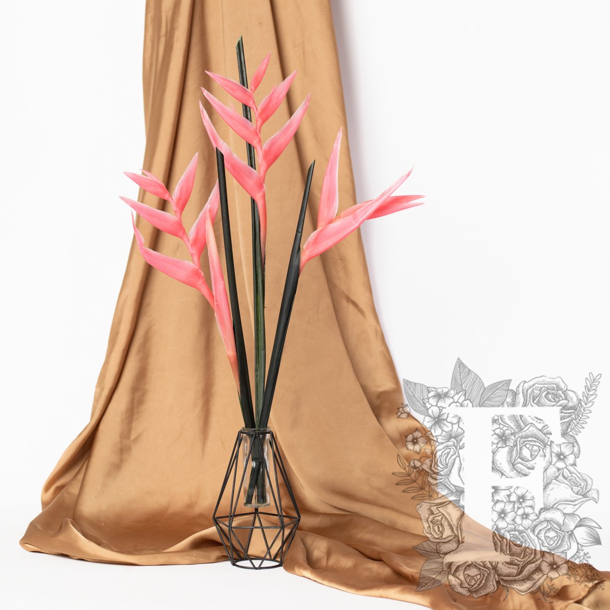 Stralitzia- Bird of Paradise -Stem