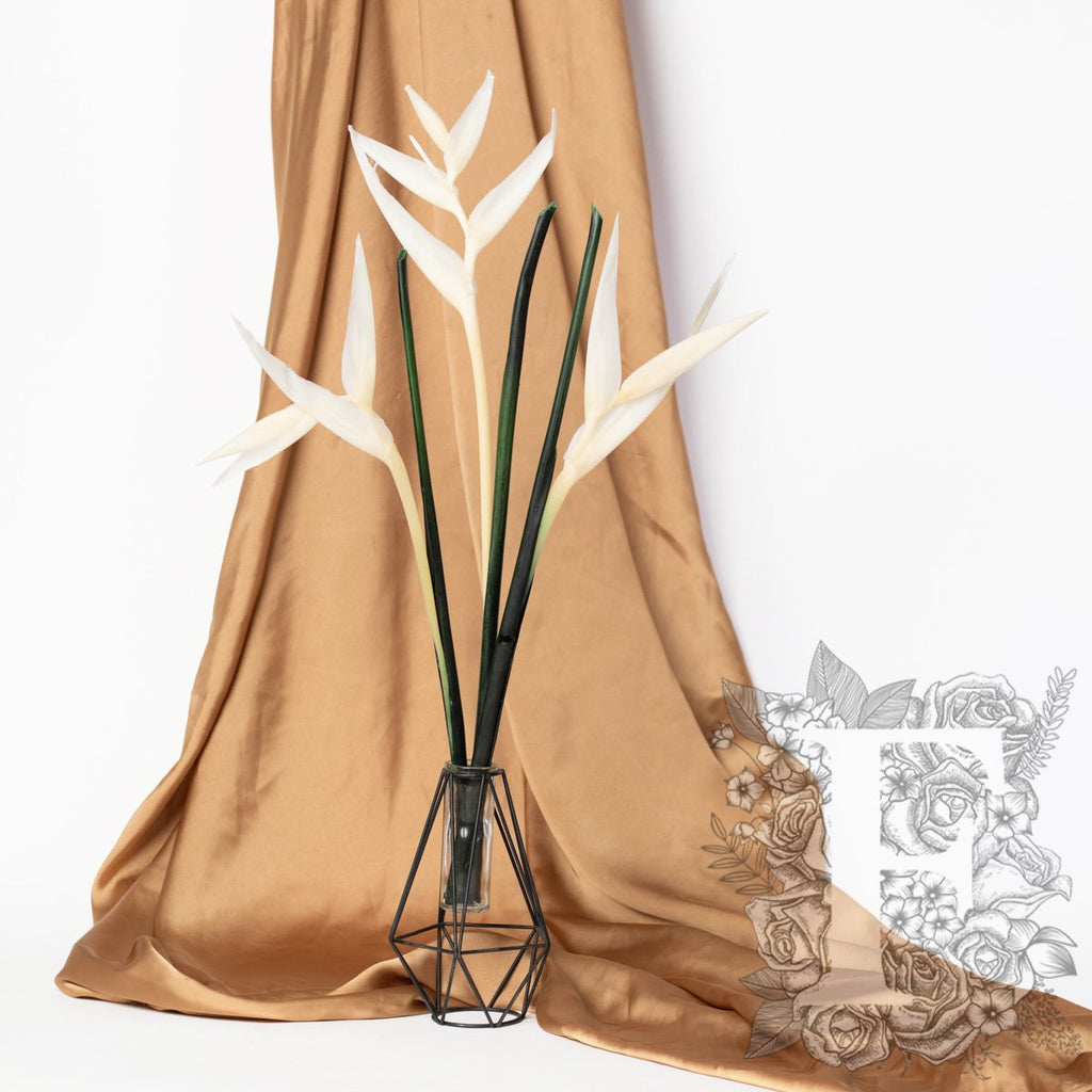 Stralitzia- Bird of Paradise -Stem