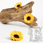 sunflower head 1