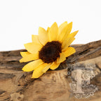 sunflower head 3