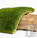 Turf 1
